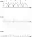 Fig. 03 - Image capturing device, image capturing method, and program