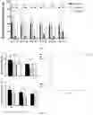Fig. 04 - METHOD FOR PREPARING ALZHEIMER'S DISEASE (AD) ANIMAL MODEL