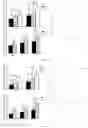 Fig. 07 - METHOD FOR PREPARING ALZHEIMER'S DISEASE (AD) ANIMAL MODEL