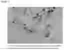 Fig. 06 - System for insect surveillance and tracking