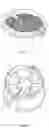 Fig. 04 - MOSQUITO-KILLING LAMP