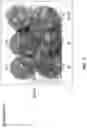 Fig. 02 - ROSEMARY/PHOSPHOLIPASE COMPOSITIONS AND METHODS OF PRESERVING MUSCLE TISSUE