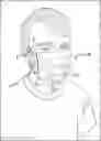 Fig. 01 - Protective face mask
