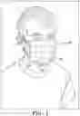 Fig. 02 - Protective face mask