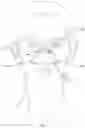 Fig. 02 - Self-adhesive nasal mask