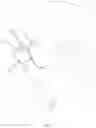Fig. 03 - Self-adhesive nasal mask
