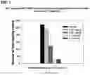 Fig. 02 - METHOD OF TREATMENT WITH TRADIPITANT