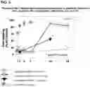 Fig. 04 - METHOD OF TREATMENT WITH TRADIPITANT