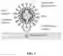 Fig. 02 - METHODS AND COMPOSITIONS FOR INHIBITING ENVELOPED VIRUSES USING LOW MOLECULAR WEIGHT HYDROPHOBICALLY MODIFIED POLYMERS