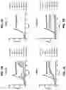 Fig. 02 - BACTERIOPHAGE COMPOSITIONS FOR TREATING PSEUDOMONAS INFECTION