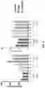 Fig. 07 - BACTERIOPHAGE COMPOSITIONS FOR TREATING PSEUDOMONAS INFECTION