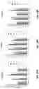 Fig. 13 - BACTERIOPHAGE COMPOSITIONS FOR TREATING PSEUDOMONAS INFECTION