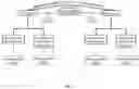 Fig. 02 - POLYPEPTIDE THERAPEUTICS AND USES THEREOF