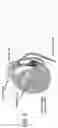 Fig. 15 - Insulins Compatible with New Generation Implantable Pumps