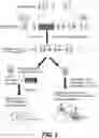 Fig. 02 - Methods and compositions for inducing neural plasticity