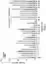 Fig. 02 - ENHANCING IMMUNOGENICITY OF STREPTOCOCCUS PNEUMONIAE POLYSACCHARIDE-PROTEIN CONJUGATES