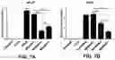 Fig. 09 - COMPOSITIONS COMPRISING BACTERIAL STRAINS