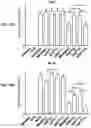 Fig. 21 - COMPOSITIONS COMPRISING BACTERIAL STRAINS