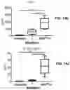 Fig. 26 - COMPOSITIONS COMPRISING BACTERIAL STRAINS
