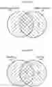 Fig. 27 - COMPOSITIONS COMPRISING BACTERIAL STRAINS