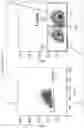 Fig. 32 - COMPOSITIONS COMPRISING BACTERIAL STRAINS