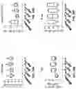Fig. 37 - COMPOSITIONS COMPRISING BACTERIAL STRAINS
