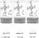 Fig. 43 - TWO-DIMENSIONAL NANOPOROUS COVALENT ORGANIC FRAMEWORK FOR SELECTIVE SEPARATION AND FILTRATION MEMBRANE FORMED THEREFROM