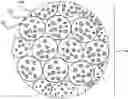 Fig. 01 - PARTICLE AGGLOMERATION FOR ADDITIVE METAL MANUFACTURING