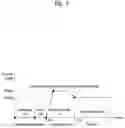 Fig. 08 - Hot liquid supply apparatus and method for controlling same