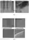 Fig. 03 - Ultra-soft coatings for interfaces with brain and other soft tissues