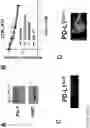 Fig. 49 - METHODS FOR DIAGNOSING AND TREATING CANCERS
