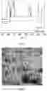 Fig. 03 - High-efficiency and short-process method for preparing a high-strength and high-conductivity copper alloy