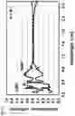 Fig. 12 - SOLAR LIGHT MANAGEMENT