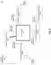 Fig. 04 - Semantic discovery