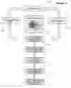 Fig. 06 - SYSTEM AND METHOD FOR GENERATING ANTIBODY LIBRARIES