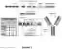 Fig. 08 - SYSTEM AND METHOD FOR GENERATING ANTIBODY LIBRARIES