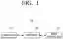 Fig. 02 - Characteristics based operation of image forming apparatus