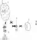 Fig. 02 - COMMUNICATION DEVICE, SYSTEM AND METHOD