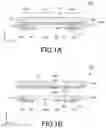 Fig. 02 - Multilayer resin substrate, and method of manufacturing multilayer resin substrate