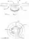 Fig. 09 - IRRIGATION APPARATUS AND FEEDING SYSTEM