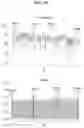 Fig. 14 - METHOD OF MANAGING DISEASE, AND APPARATUSES OPERATING THE SAME