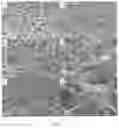 Fig. 06 - Antibacterial nanofiber