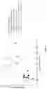 Fig. 09 - IMMUNOSTIMULATORY AGENTS IN COMBINATION WITH ANGIOGENESIS INHIBITORS
