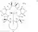 Fig. 43 - COMBINATION CANCER THERAPY WITH PENTAAZA MACROCYCLIC RING COMPLEX AND PLATINUM-BASED ANTICANCER AGENT