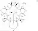 Fig. 45 - COMBINATION CANCER THERAPY WITH PENTAAZA MACROCYCLIC RING COMPLEX AND PLATINUM-BASED ANTICANCER AGENT