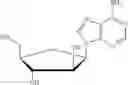 Fig. 167 - ADENOSINE ANALOG AND ITS USE IN REGULATING THE CIRCADIAN CLOCK
