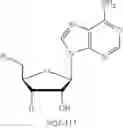Fig. 320 - ADENOSINE ANALOG AND ITS USE IN REGULATING THE CIRCADIAN CLOCK