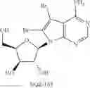 Fig. 331 - ADENOSINE ANALOG AND ITS USE IN REGULATING THE CIRCADIAN CLOCK