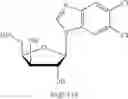 Fig. 366 - ADENOSINE ANALOG AND ITS USE IN REGULATING THE CIRCADIAN CLOCK