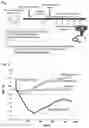 Fig. 02 - Immune Tolerance-Inducing Agent and Therapeutic or Prophylactic Agent for Allergic Disorder
